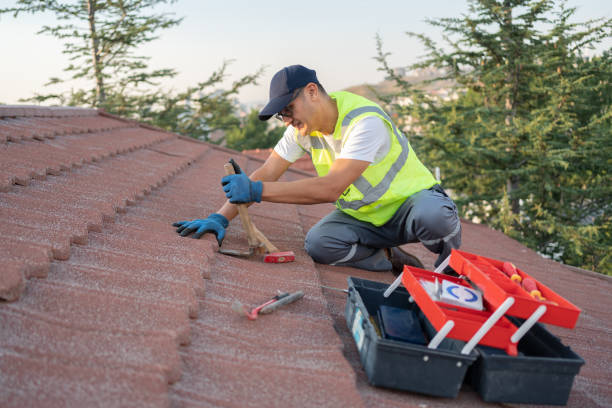 Best Storm Damage Roof Repair  in Franklin Park, NJ