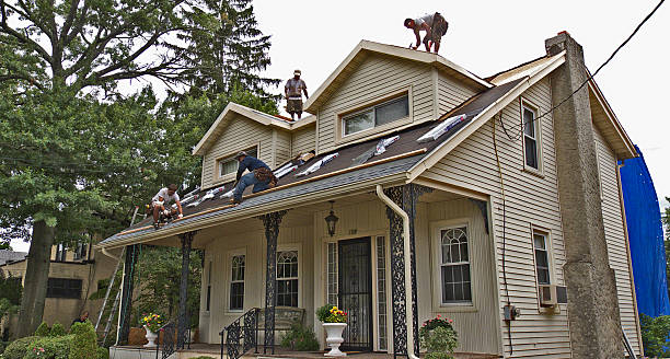 Best Gutter Installation and Roofing  in Franklin Park, NJ