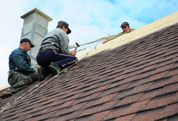 Best New Roof Installation  in Franklin Park, NJ
